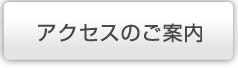 �A�N�Z�X�̂��ē�